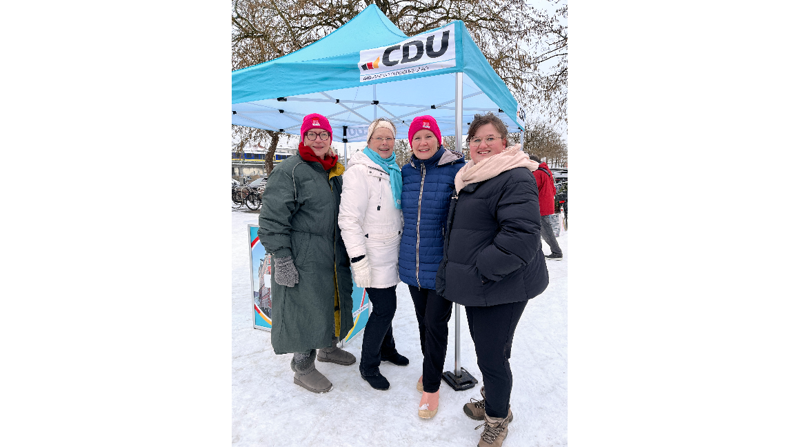 Baumschutzsatzung in dieser Form in Oldenburg ? Nein Danke!